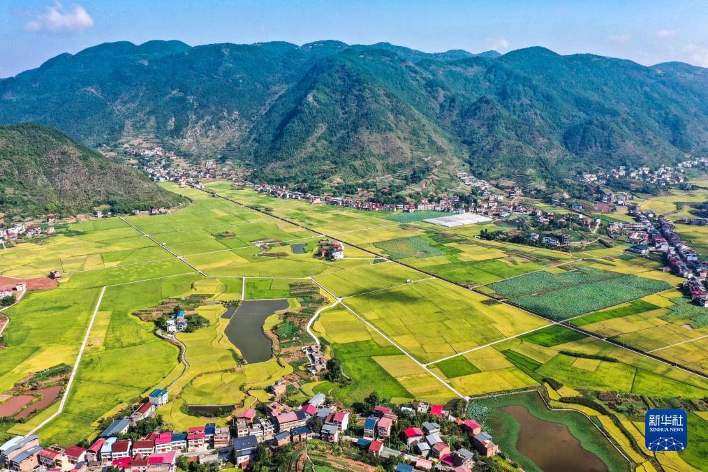 免费送彩金游戏平台